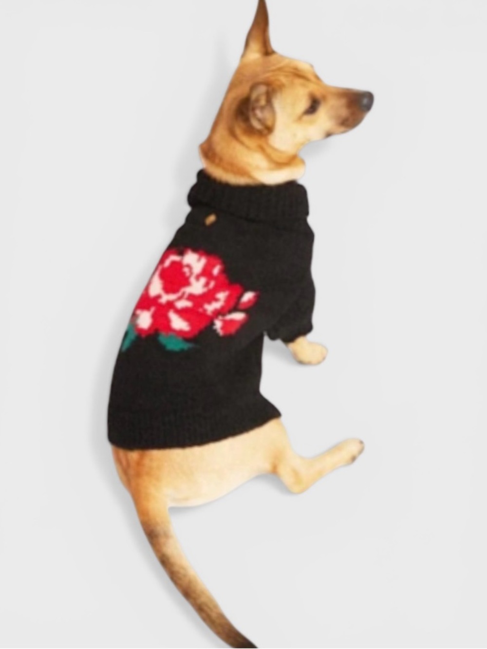 820 10/$50🏄🏻‍♀️ XS Dog Black Sweater with Rose Floral Design